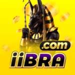 iibra Earn Elite v3.5.8